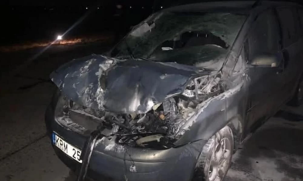 Οδηγός έγινε "σκνίπα στο μεθύσι" και συγκρούστηκε με…μαχητικό MiG-29